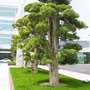 云南省古城健康素养