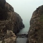 海沧分会