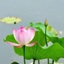 黑龙江海林市海林寺