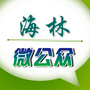 黑龙江海林微公众