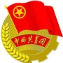 海南省海棠青年