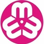 河北区妇联