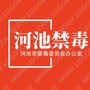 河池禁毒