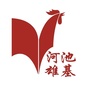 河池雄基今日信息微信公众号