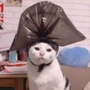 重庆市合川舞蹈帮