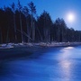 河津