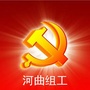 山西省河曲县河曲组工