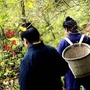 新疆省和硕县和硕斋文化馆
