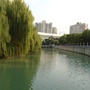 上海市虹口区河道管理养护项目