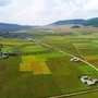 红桥微视野