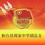 桓台县周家中学团总支