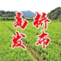 甘肃省徽县高桥镇-徽县高桥镇区划图