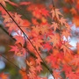 广东省江海暖阳微信公众号