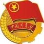 湖南省江永团县委
