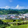 福建省建瓯市小桥镇