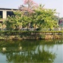 集美区李林小学五年3班