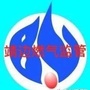 陕西省靖边燃气_燃气发电机组