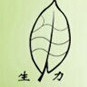 甘肃省静宁生力公司微信公众号