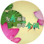 江苏省金湖微信公众号