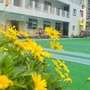 四川省锦江区北顺街幼儿园微信公众号