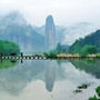 缙云发布