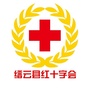 浙江省缙云县红十字会：缙云县政务服务网