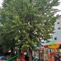 江苏省句容市建设路幼儿园微信公众号