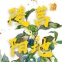 山东省莒地陵阳微信公众号