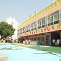 湖南省开福区金色梯田幼儿园微信公众号