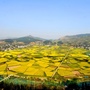 开阳县农业局