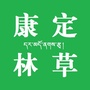 康定林草