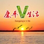 康平V生活