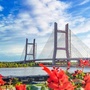 新疆省可克达拉市住建局_新疆可克达拉市属于哪个地区