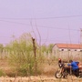 山东省垦利文学