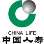 山西省矿区国寿_国寿鑫福赢家年金保险