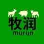黑龙江兰西县牧润饲料经销有限公司微信公众号
