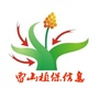 雷山植保信息