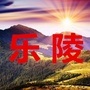 乐陵家乡大群