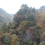 甘肃省两当县卫生局微信公众号