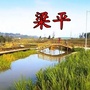 梁平在线