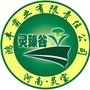 河南省灵宝市鸿丰菌业有限责任公司