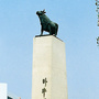山东省临邑信息网微信公众号