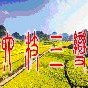 贵州省六枝三变（三变科技股吧）