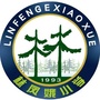广东省荔湾区林凤娥小学-林凤娥小学(荔江美筑校区)