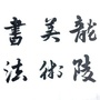 云南省龙陵美术书法微信公众号