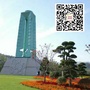 龙泉市西街街道