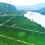 隆阳农业农村