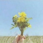 龙子湖晓磊
