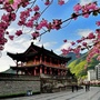 陕西省略阳旅游微信公众号