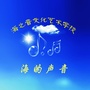 安徽省庐江县海之音艺校